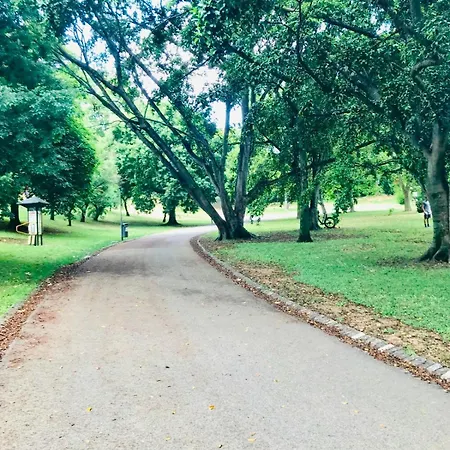 住宿加早餐酒店 Holidays Lisboa